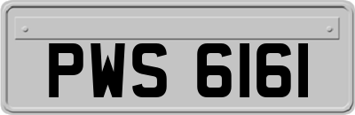 PWS6161