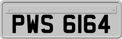 PWS6164