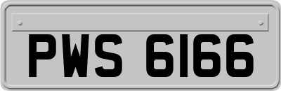 PWS6166