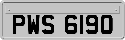 PWS6190