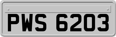 PWS6203