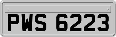 PWS6223