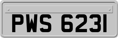 PWS6231