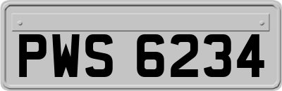 PWS6234