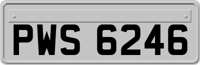 PWS6246