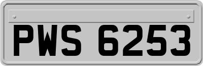 PWS6253