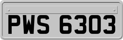 PWS6303