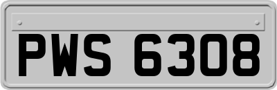 PWS6308