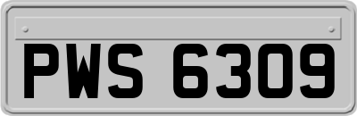 PWS6309