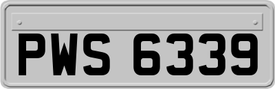 PWS6339