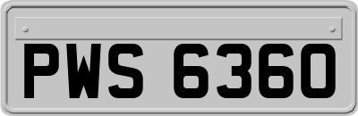 PWS6360