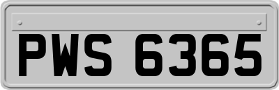 PWS6365