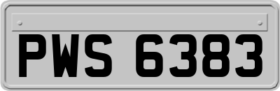 PWS6383