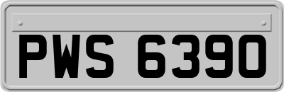 PWS6390