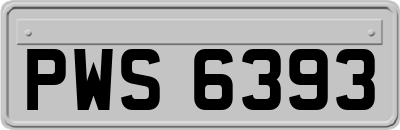 PWS6393