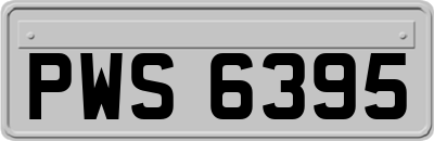 PWS6395