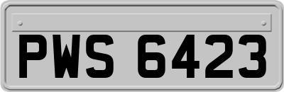 PWS6423