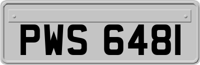 PWS6481