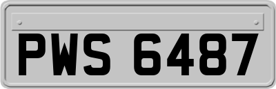 PWS6487