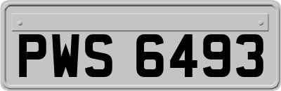 PWS6493