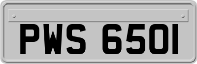 PWS6501