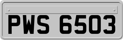 PWS6503