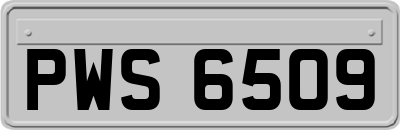 PWS6509