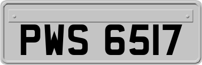 PWS6517