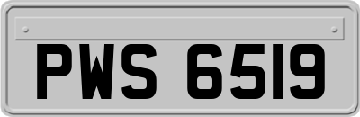 PWS6519