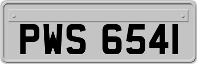 PWS6541