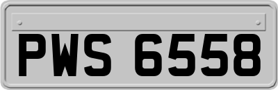 PWS6558