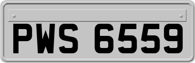 PWS6559