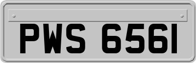 PWS6561