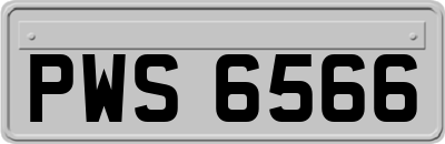 PWS6566