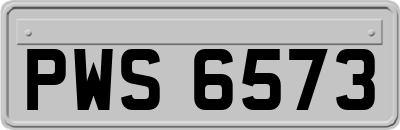 PWS6573