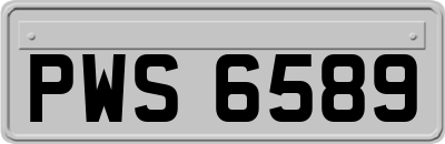 PWS6589