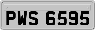 PWS6595