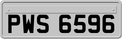 PWS6596