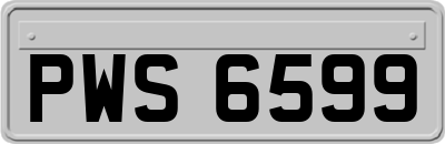 PWS6599