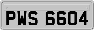 PWS6604