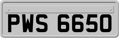 PWS6650