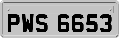 PWS6653