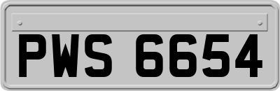 PWS6654