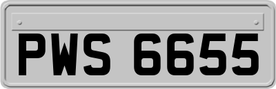 PWS6655