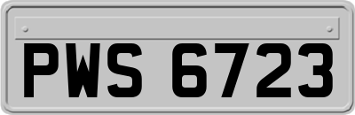 PWS6723