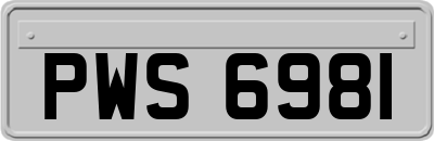 PWS6981