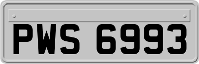 PWS6993