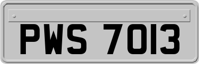 PWS7013