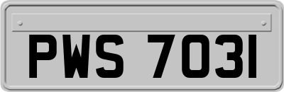 PWS7031