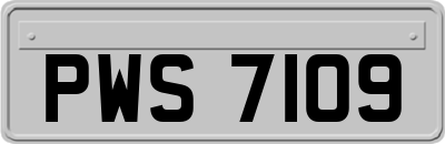 PWS7109